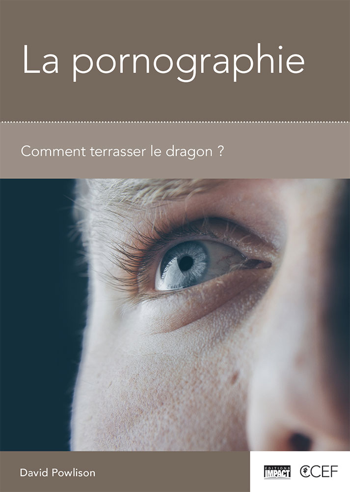 image La pornographie - Comment terrasser le dragon ? [agrafé]