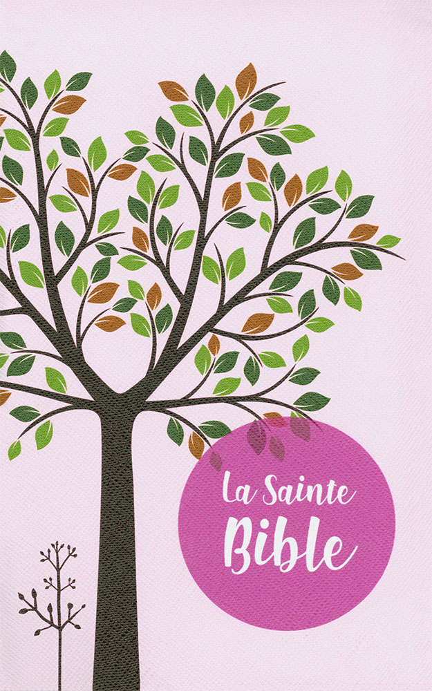 image La Sainte Bible. Version Segond 1910