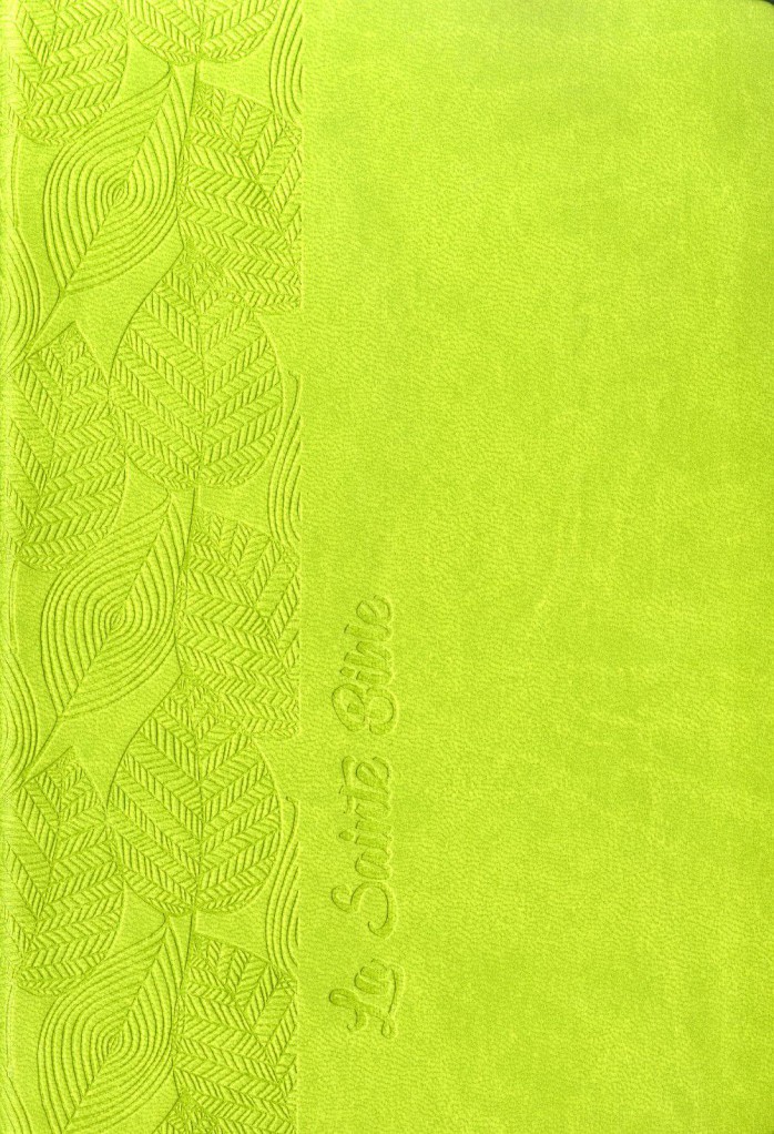 image Bible Segond 1910 - souple vert feuilles