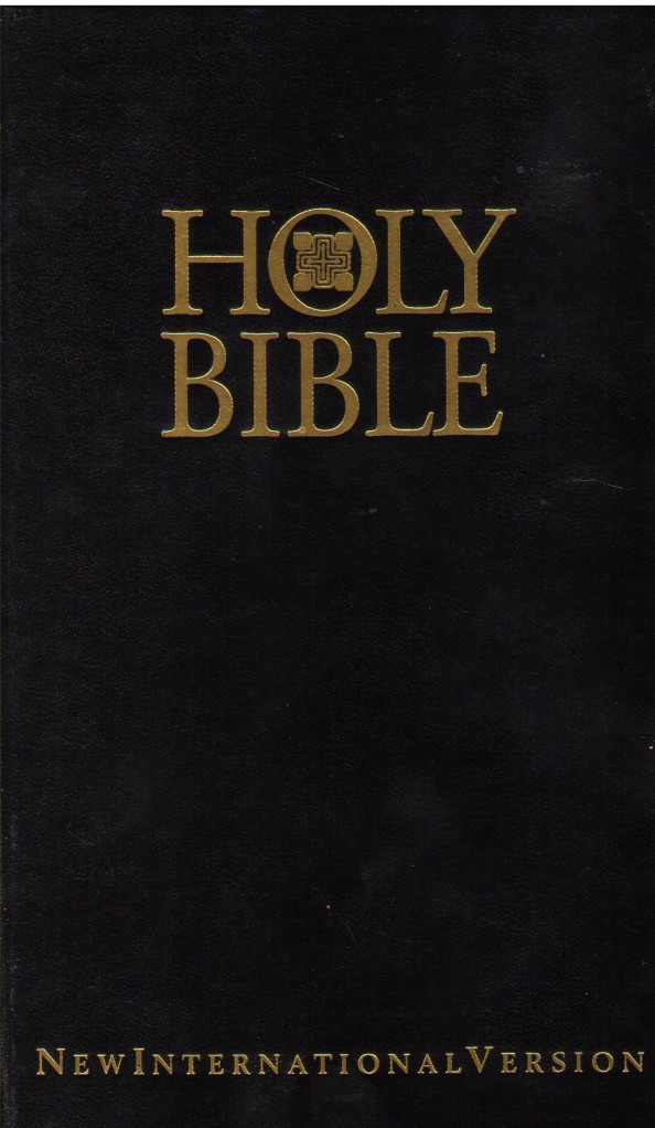 image Bible anglais NIV reliée noir