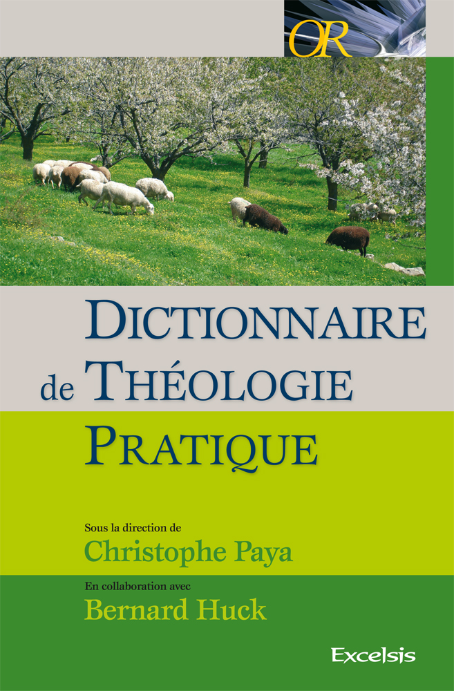 image DTP - Dictionnaire de théologie pratique ancienne édition